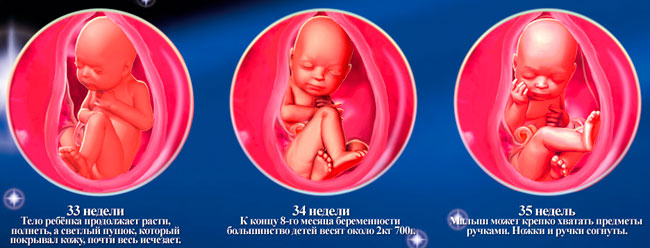 Новый порядок перевозки детей в автомобилях с