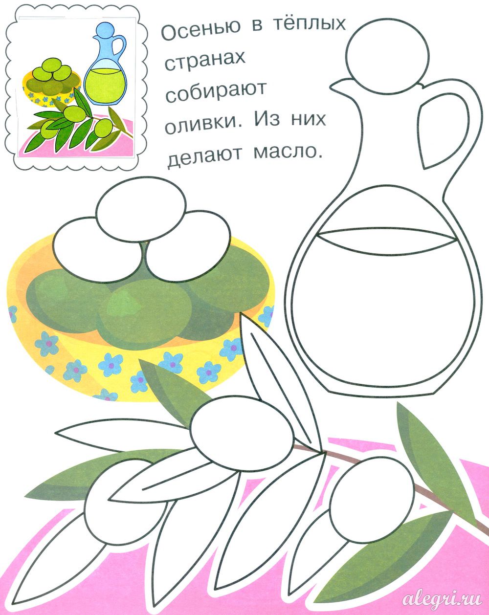 Оливки. Раскраска