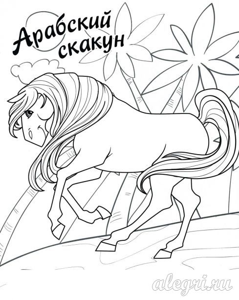 Раскраски Лошади Раскраски Лошади