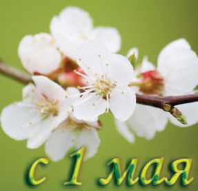 Поздравления с 1 мая Поздравления с 1 мая