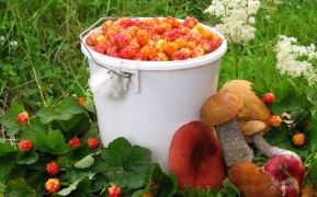 Приметы, пословицы и поговорки июля Приметы, пословицы и поговорки июля