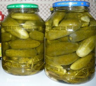 салаты рецепты из огурцов читать салаты рецепты из огурцов читать
