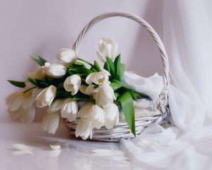 Сценарий 8 марта для взрослых Сценарий 8 марта для взрослых