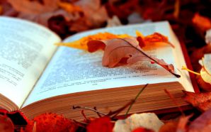 Здравствуй, книга, 1 класс. Сценарий Здравствуй, книга, 1 класс. Сценарий